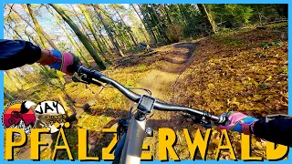 Near PERFECT Mid-Winter LOAM - Pfälzerwald // with @JayRidesTrails // Santa Cruz 5010 v5