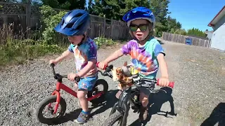 Theo and Brixen age 3 ride unemployment line in Bellingham and Cumberland BC trails