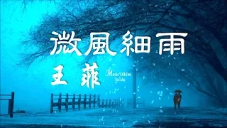 王菲 《微風細雨》 小草也在輕輕低語...Faye Wong ♥ ♪♫*•