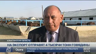 Алматинская область отправит на экспорт 4 тысячи тонн говядины