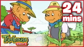 The Berenstain Bears: The Summer Job / The Big Red Kite - Ep. 21