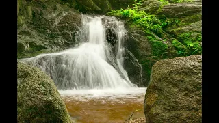 Relax and Rejuvenate with Nature's Symphony: Ambient Piano Sounds