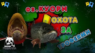 ◦ оз.Куори ◦ Щука ◦ Голец Куорский! ◦ level ◦ Русская рыбалка 4 ◦🎣👍🐬