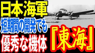 【日本海軍】対潜哨戒機『東海』 太平洋戦争開戦後に開発・量産された対潜哨戒機 《日本の火力》