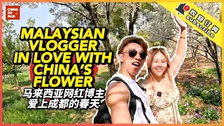 Fly 3000 Kilometers Just to See Flower in China? Why Malaysian Vlogger in Love with Chengdu’s Spring