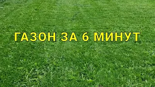 как посадить газон с нуля, полностью в видео все этапы выращивания самосевного газона