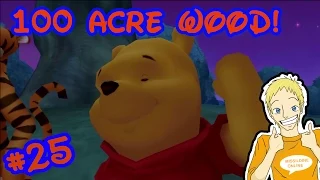 Kingdom Hearts 1.5 HD ReMix | Proud Mode Walkthrough Part 25 | 100 Acre Wood Complete!