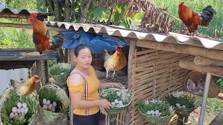 Take care of the chickens, build a nest for the mother hen to lay eggs