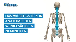 Das Wichtigste zur Anatomie der Wirbelsäule in 20 Minuten