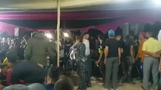 جديد  عاديلو   تازي سمحوليا ياصحابي🎻🥂🍻