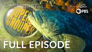 Super Grouper - Full Episode