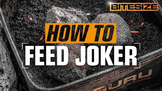 How To Feed Joker | Guru Bitesize #031