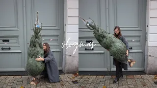 temos árvore de natal! | vlogmas um | Romina Lange