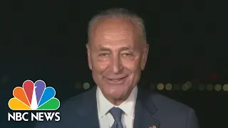 Watch Chuck Schumer’s Full Speech At The 2020 DNC | NBC News