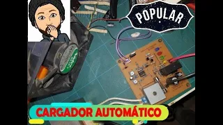 Cargador automático de baterías