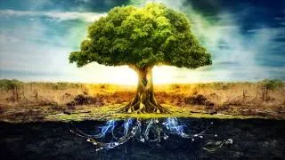 Merkaba - Divine Mother Tree