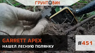 #451 Нашел лесную полянку. Коп с Garrett Apex