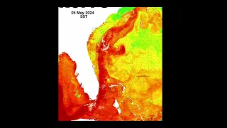 Southeastern U.S. Ocean Conditions Update - 5/6/2024