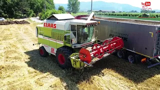 CLAAS DOMINATOR 98 SL MAXI Harvest | Zetva Psenice