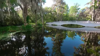 Magnolia Plantation & Gardens