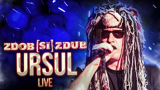 Zdob și Zdub — Ursul (Bestiarium live)