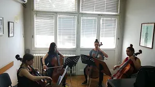 Nothing else matters 4 cellos fantastic