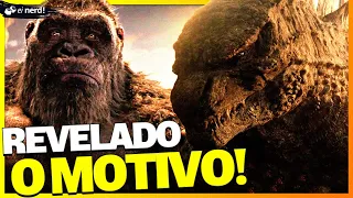 OFICIAL! POR QUE O GODZILLA NÃO MATOU O KING KONG