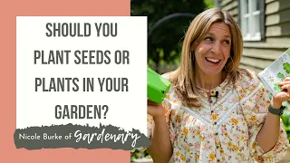 Should You Plant Seeds or Plants in Your Garden?