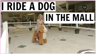 I RODE A DOG IN THE MALL!!!