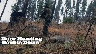 Double Down On Two Buck | California Hunter Hunting Mule/Blacktail Deer On PUBLIC LAND | 2018 - 2019