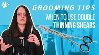 When to use double thinning scissors for dog grooming | Grooming Tips - TRANSGROOM