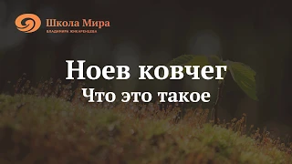 Ноев Ковчег - что это такое