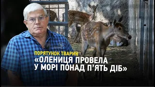 Як Одеський зоопарк рятує постраждалих від підриву Каховської ГЕС тварин