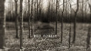 Red Forest - Red Forest [FULL ALBUM]