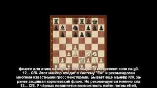 Поучительные шахматные партии 1. (встроенные субтитры). Шахматы. Евгений Гринис