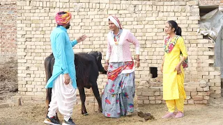 स्वभाव आच्छो कोनी ll Rajasthani Comedy Video ll Mahender Rajasthani