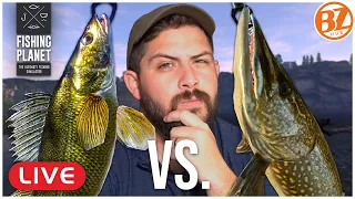ST CROIX Walleye vs. Pike! $$$ (Free-2-play!) l Fishing Planet [LIVE]