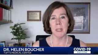 Video: Dr. Helen Boucher answers your questions about COVID-19 vaccine safety