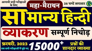 Hindi Marathon For HighCourt LDC Exam 2023 | हिंदी मैराथन 15000 प्रश्न | हिंदी व्याकरण | Bishnoi Sir