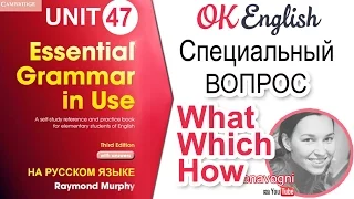 Unit 47 Вопрос с what, which, how. Специальный вопрос в английском | OK English Elementary