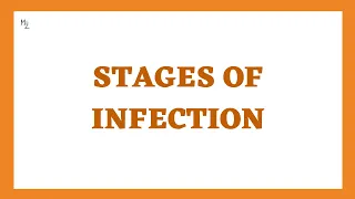 Stages of Infection or Disease in Microbiology (Incubation, prodromal, Illness, and Convalescence)