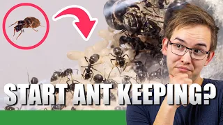 HOW TO START ANT KEEPING | Ant Keeping 101 - Ant Holleufer