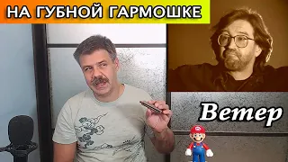 Ветер на губной гармошке (кавер ДДТ)