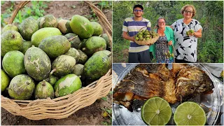 COLHEITA de cajá-manga e macaxeira // PESCARIA e TILÁPIA frita pro jantar