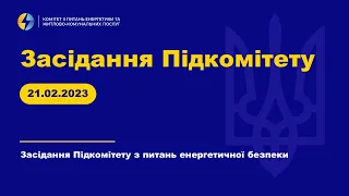 Засідання підкомітету(докладніше в описі). 21 лютого 2023 року.