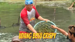 UDANG BOLU CRISPY | JEJAK SI GUNDUL (08/08/21)