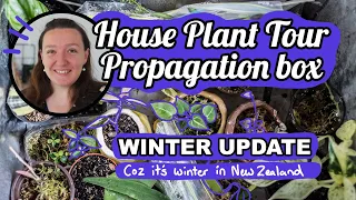 Plant Tour Propagation Box - Winter Update