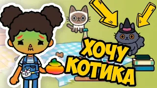 🙀Где мой котёнок?❤️ ТОКА БОКА Питомцы в парке Toca Life World