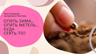 Опять зима, опять метель ...куда сеять то...