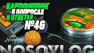 Карпфишинг в вопросах и ответах #46, Колесников А.